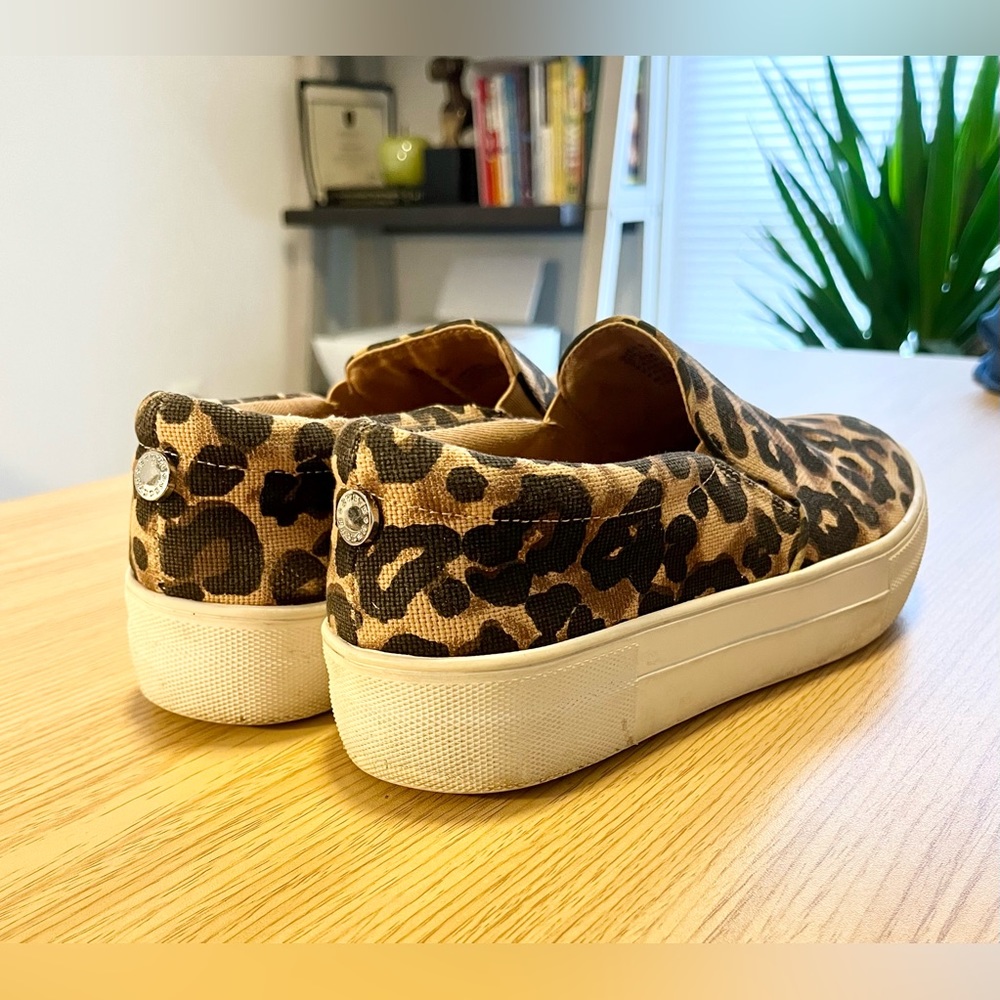 Steve Madden Fashion Sneakers